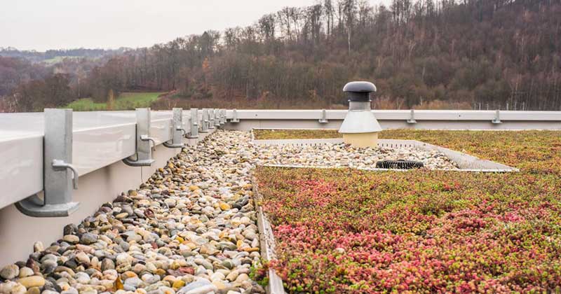 <p>Étanchéité toiture végétalisée, La Grande Motte</p>